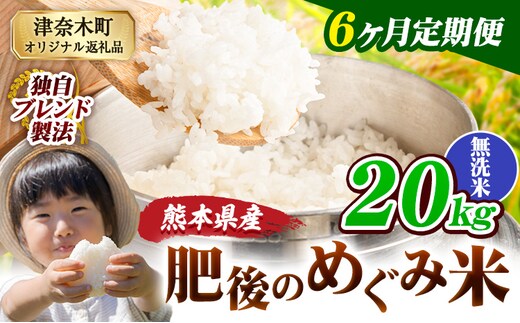 【6ヶ月定期便】無洗米 熊本県産 ブレンド米 肥後のめぐみ米 20kg 熊本県産 ふるさと納税 精米 米 こめ ふるさとのうぜい コメ お米 おこめ《お申込み翌月から出荷》---tn_hmgtei_243000_20kgm_mo6---