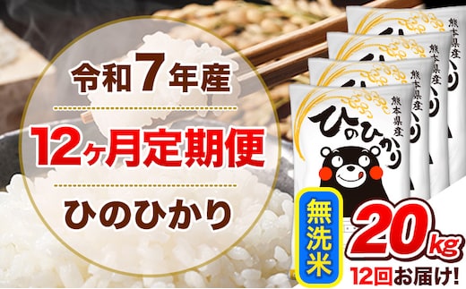 令和7年産 【12ヵ月定期便】無洗米 ひのひかり 定期便 20kg 5kg×4袋《お申込み翌月から出荷》 熊本県産 精米 ひの 米 こめ ヒノヒカリ コメ お米---hn7tei_510000_20kg_mo12_tn_m---