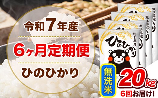 令和7年産【6ヵ月定期便】無洗米 ひのひかり 定期便 20kg 5kg×4袋《お申込み翌月から出荷》 熊本県産 精米 ひの 米 こめ ヒノヒカリ コメ お米---hn7tei_255000_20kg_mo6_tn_m---