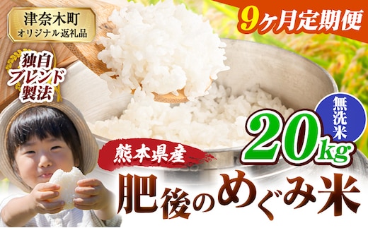 【9ヶ月定期便】無洗米 熊本県産 ブレンド米 肥後のめぐみ米 20kg 熊本県産 ふるさと納税 米 こめ ふるさとのうぜい コメ お米 おこめ《お申込み翌月から出荷》---tn_hmgtei_400500_20kg_m_mo9---