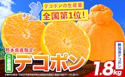 無加温デコポン 約1.8kg(3-5玉前後) 《1月上旬~1月下旬頃出荷予定(土日祝除く)》 柑橘 不知火 デコポン みかん フルーツ 果物 旬 ご家庭用 訳あり みかん 好き必見 ---tn_mkondeko_ab1_r7_9000_1800g---