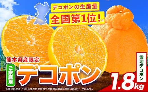 露地デコポン 約1.8kg(3-5玉前後) 《2026年2月中旬-3月末頃出荷》 柑橘 不知火 デコポン みかん フルーツ 果物 旬 ご家庭用 訳あり みかん 好き必見---tn_rojideko_bc2_r7_7500_1800g---
