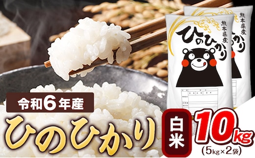 米 令和6年産 白米 ひのひかり 10kg 《7-14日以内に出荷予定(土日祝除く)》令和6年産 熊本県産 ふるさと納税 精米 ひの 米 こめ ふるさとのうぜい ヒノヒカリ コメ お米 米 白米 お米 米 白米 お米 米 白米 お米 米 白米 ---tn_hn6_wx_r7_29500_10kg_h---