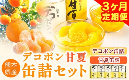 【3ヶ月定期便】デコポン・甘夏缶詰セット計10缶入り《お申込み月の翌月より出荷開始》熊本県 葦北郡 津奈木町 あしきた農業協同組合 JAあしきた 柑橘 デコポン 甘夏 あまなつ フルーツ 果物 缶詰 セット 送料無料 合計30個お届け---st_jkstei_r7_38500_10p_mo3num1---