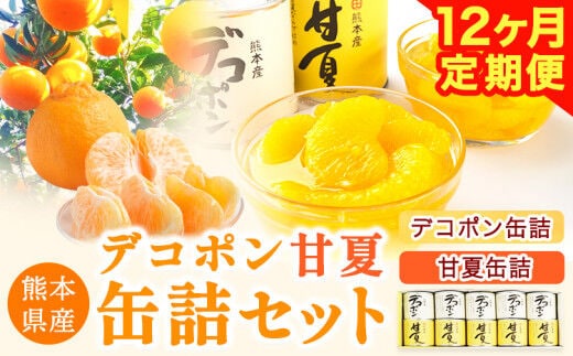 【12ヶ月定期便】デコポン・甘夏缶詰セット計10缶入り《お申込み月の翌月より出荷開始》熊本県 葦北郡 津奈木町 あしきた農業協同組合 JAあしきた 柑橘 デコポン 甘夏 あまなつ フルーツ 果物 缶詰 セット 送料無料 合計120個お届け---st_jkstei_r7_151500_10p_mo12num1---