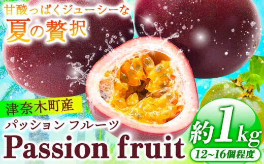 先行予約 津奈木町産 パッションフルーツ 約1kg(12～16個) つなぎ南興FARM《7月上旬-7月中旬頃出荷》フルーツ 果物 熱帯果樹栽培 ---st_nafarmpa_a7_r7_12500_1kg---