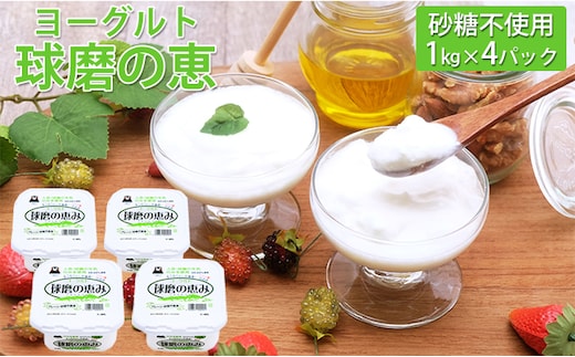 球磨の恵ヨーグルト 1kg×4パック（砂糖不使用） 乳製品 