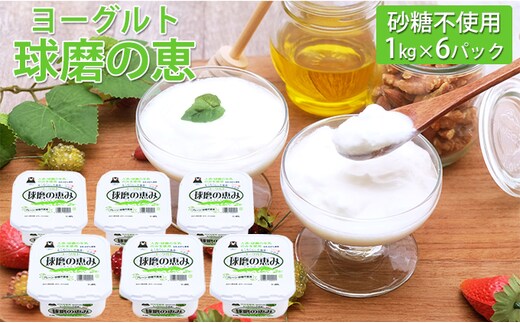 球磨の恵ヨーグルト 1kg×6パック（砂糖不使用） 乳製品 