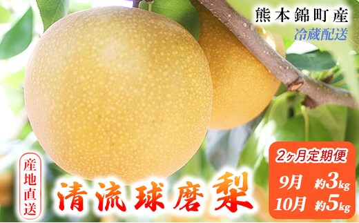 定期便 2回 先行予約 梨 清流錦 あきづき 9月 3kg 新興 10月 5kg フルーツ なし ナシ 果物 デザート 秋月 お楽しみ2026年発送 配送不可:離島 