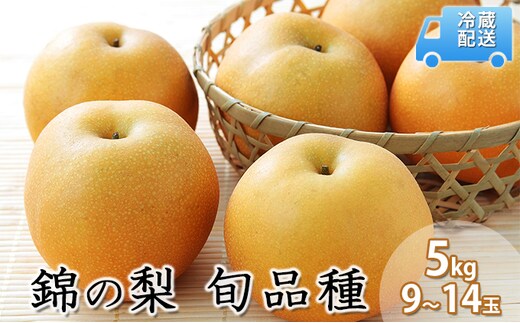 梨 5kg 先行予約 錦の梨 約9玉～14玉 フルーツ なし ナシ 果物 デザート 2025年発送 古里農園 配送不可:離島 