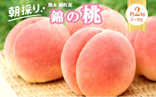 桃 白桃 先行予約 錦の桃 2kg 約5玉～9玉 もも モモ フルーツ 果物 デザート 2026年発送 鎌木果樹園 配送不可:離島 