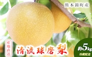 梨 旬 5kg 先行予約 2026年発送 平野果樹園 錦の梨 なし フルーツ 果物 デザート 配送不可:離島