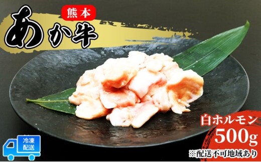 あか牛 赤牛 熊本 和牛 肥後 赤牛 白ホルモン 500g (250g×2パック) 牛肉 肉 お肉 配送不可:離島 牛ホルモン 国産 日本産 熊本県産 柔らかい 食感 ぷりぷり ホルモン焼き もつ鍋 もつ煮込 鍋料理 冬 つまみ 