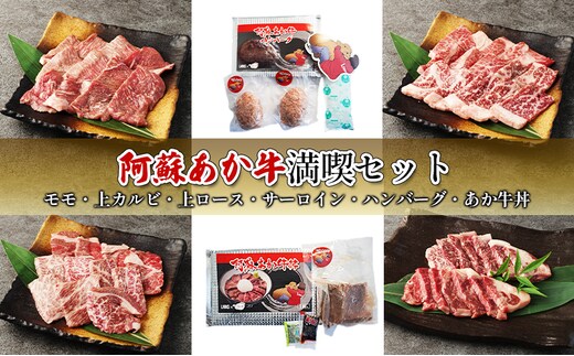 焼肉 セット 食べ比べ カルビ ロース ハンバーグ 阿蘇 あか牛 満喫セット 赤牛 焼き肉 牛肉 肉 お肉 配送不可：離島 