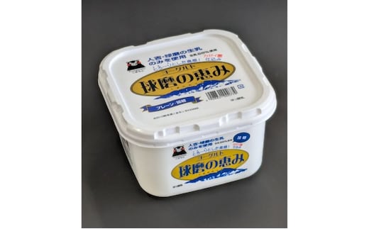 ヨーグルト もっちり、とろ～りの2つに食感！ 球磨の恵みヨーグルト ( 加糖タイプ ) 3kg 【配送不可：沖縄県、離島】