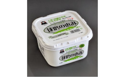 ヨーグルト もっちり、とろ～りの2つに食感！ 球磨の恵みヨーグルト (砂糖不使用) 3kg 【配送不可：沖縄県、離島】