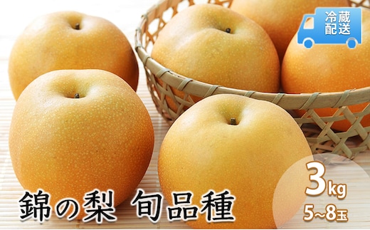 梨 3kg 先行予約 錦の梨 約5玉～8玉 フルーツ なし ナシ 果物 デザート 2025年発送 古里農園 配送不可:離島