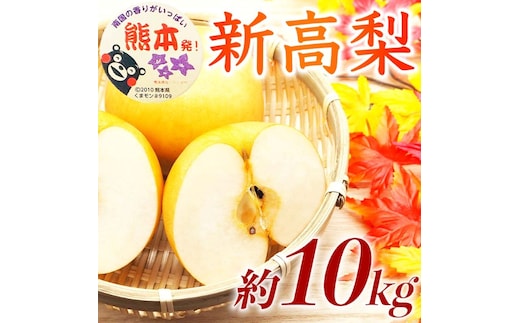 新高梨 約10kg（12～32玉）【梨 なし 果物 フルーツ デザート 食後 熊本県産】※配送不可：離島