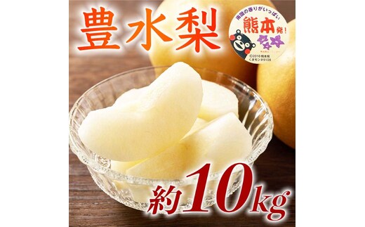 豊水梨 約10kg（12～36玉）【梨 なし 果物 フルーツ デザート 食後 熊本県産】※配送不可：離島
