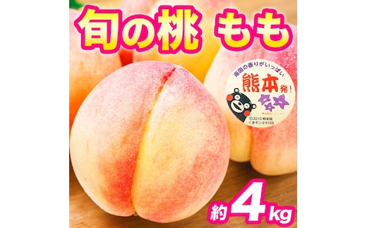もも 約4kg（10～22玉）【桃 もも モモ 果物 フルーツ デザート 食後 錦町産】※配送不可：離島