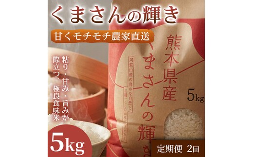 【定期便2ヶ月】【極良食味】熊本県産くまさんの輝き 5kg 1セット｜15年育成の甘み際立つブランド米 米 国産米 ブランド米 農園直送 家庭用 ギフト お取り寄せ 熊本県