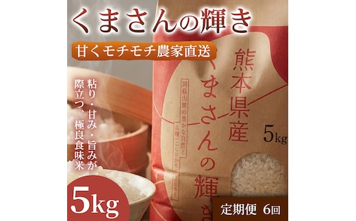 【定期便6ヶ月】【極良食味】熊本県産くまさんの輝き 5kg 1セット｜15年育成の甘み際立つブランド米 米 国産米 ブランド米 農園直送 家庭用 ギフト お取り寄せ 熊本県