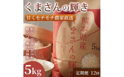 【定期便12ヶ月】【極良食味】熊本県産くまさんの輝き 5kg 1セット｜15年育成の甘み際立つブランド米 米 国産米 ブランド米 農園直送 家庭用 ギフト お取り寄せ 熊本県