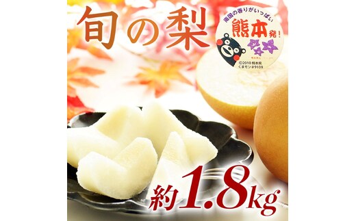 【amazon価格】旬の梨 品種おまかせ 約1.8kg（5～8玉）【梨 なし 果物 フルーツ デザート 食後 熊本県産】※配送不可：離島