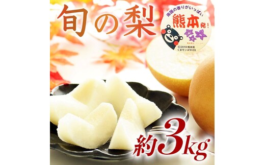 【amazon価格】旬の梨 品種おまかせ 約3kg（4～12玉）【梨 なし 果物 フルーツ デザート 食後 熊本県産】※配送不可：離島