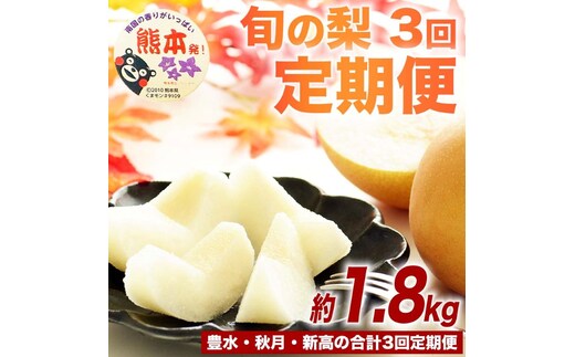 【amazon価格】定期便3回 梨 約1.8kg×3回 計約5.4kg 豊水 秋月 新高 8月～10月出荷【梨 なし 果物 フルーツ デザート 食後 熊本県産】※配送不可：離島