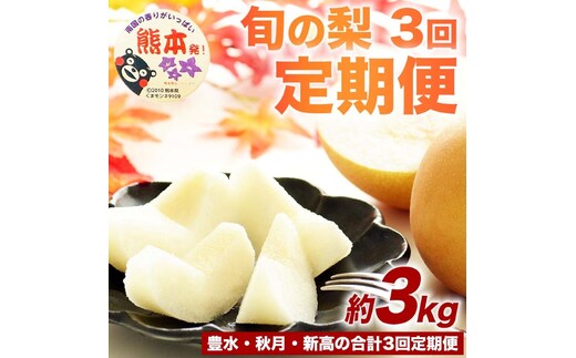 【amazon価格】定期便3回 梨 約3kg×3回 計約9kg 豊水 秋月 新高 8月～10月出荷【梨 なし 果物 フルーツ デザート 食後 熊本県産】※配送不可：離島