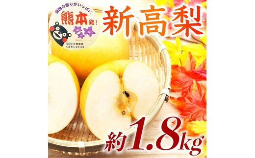 【amazon価格】新高梨 約1.8kg（5～8玉）【梨 なし 果物 フルーツ デザート 食後 熊本県産】※配送不可：離島