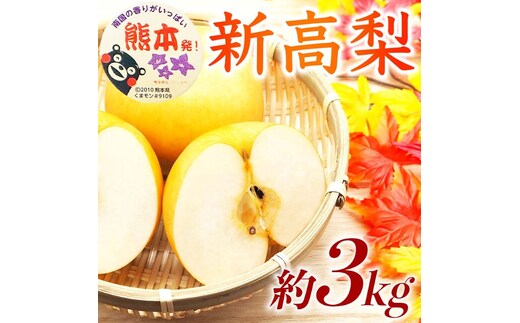 【amazon価格】新高梨 約3kg（4～12玉）【梨 なし 果物 フルーツ デザート 食後 熊本県産】※配送不可：離島