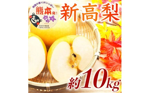 【amazon価格】新高梨 約10kg（12～32玉）【梨 なし 果物 フルーツ デザート 食後 熊本県産】※配送不可：離島