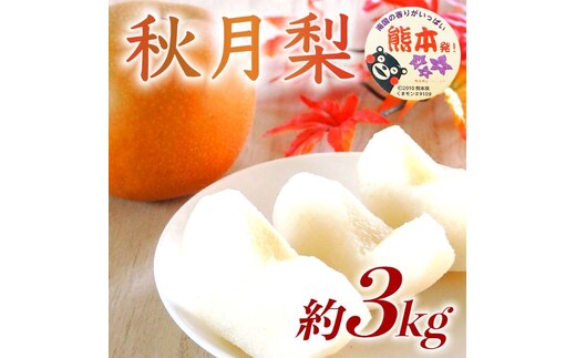 【amazon価格】秋月梨 約3kg（4～12玉）【梨 なし 果物 フルーツ デザート 食後 熊本県産】※配送不可：離島