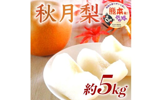 【amazon価格】秋月梨 約5kg（6～18玉）【梨 なし 果物 フルーツ デザート 食後 熊本県産】※配送不可：離島