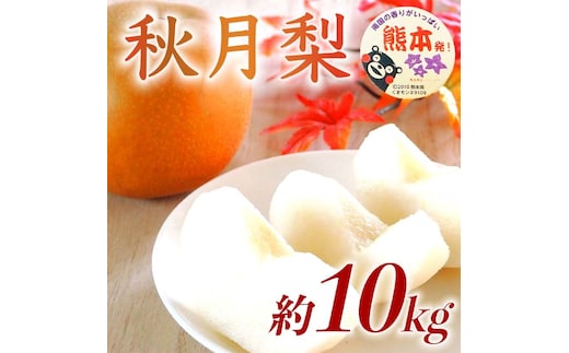 【amazon価格】秋月梨 約10kg（12～36玉）【梨 なし 果物 フルーツ デザート 食後 熊本県産】※配送不可：離島