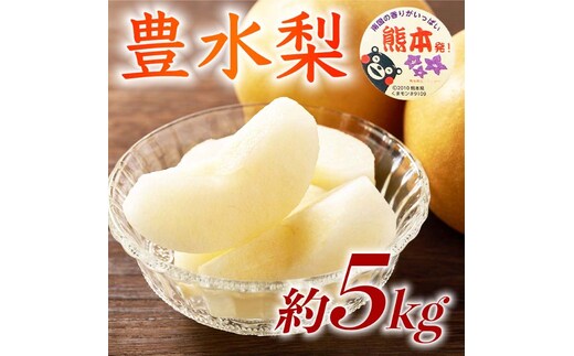 【amazon価格】豊水梨 約5kg（6～18玉）【梨 なし 果物 フルーツ デザート 食後 熊本県産】※配送不可：離島