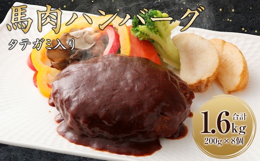 FNタテガミ入り 馬肉ハンバーグ (デミソース) 8個 セット 馬肉 お肉 惣菜 ハンバーグ タテガミ コウネ ソース付