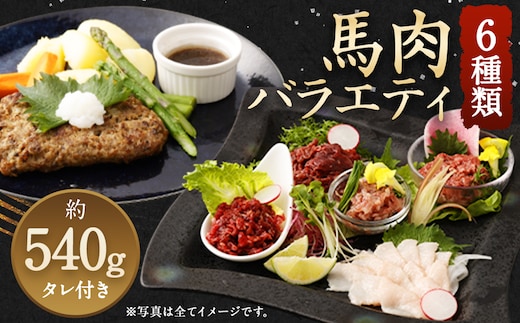6種 馬肉 バラエティ 約540g 馬肉 お肉 赤身 コウネ ユッケ ハンバーグ タレ付