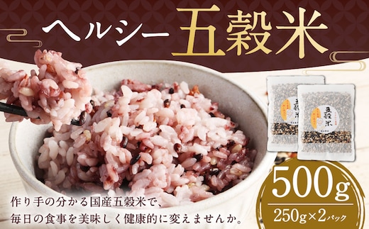 【2025年11月上旬より発送開始】 ヘルシー五穀米 250g×2袋 計500g 五穀米 雑穀米 雑穀 五穀 米 お米 黒米 押し麦 麦 もち麦 玄米 赤米 ブレンド 常温 お取り寄せ 国産 九州産 熊本県 湯前町
