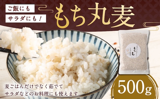ご飯にもサラダにも!もち丸麦 500g 雑穀米 雑穀 麦 もち麦 麦ごはん 麦ご飯 サラダ 食物繊維 常温 お取り寄せ 国産 九州産 熊本県 湯前町