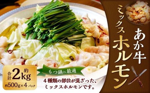 熊本和牛 あか牛 ホルモン 約2kg(約500g×4パック) 肉 お肉 牛肉 和牛 褐毛和種 国産 九州産 冷凍 熊本県 湯前町