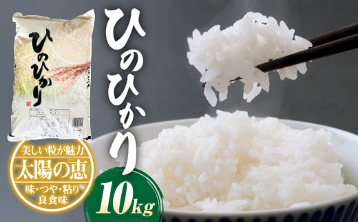 【令和7年産】ヒノヒカリ10kg×1袋 米 お米 精米 白米 ごはん ご飯 【2026年10月下旬迄発送予定】