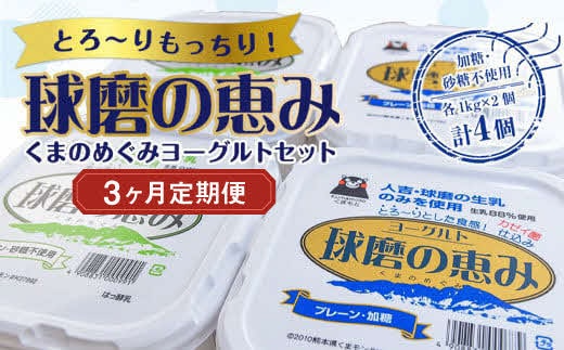 【3ヶ月定期便】とろ～りもっちり!球磨の恵みヨーグルトセット(加糖・砂糖不使用各1kgx2個 計4個)計12kg