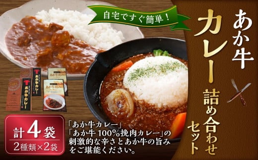 あか牛 カレー 詰め合わせ セット(あか牛カレー 180g×2袋、あか牛100%挽肉カレー 220g×2袋)計4食 惣菜 レトルト 熊本県 湯前町