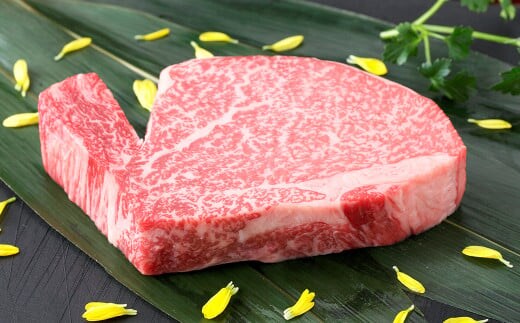熊本県産 黒毛和牛 ヒレステーキ 200g 国産 熊本 和牛 牛肉 牛 ヒレ ステーキ 肉 お肉 冷凍