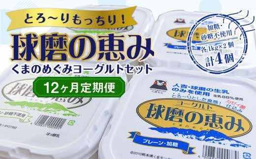 【12ヶ月定期便】とろ～りもっちり!球磨の恵みヨーグルトセット(加糖・砂糖不使用各1kgx2個 計4個)計48kg