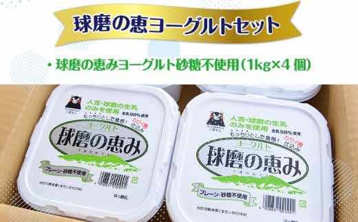 12ヶ月定期便】球磨の恵みヨーグルトセット（砂糖不使用1kg×4個）計