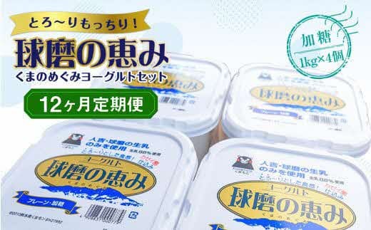 【12ヶ月定期便】球磨の恵みヨーグルトセット(加糖1kg×4個)計48kg